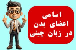 اسامی اعضای بدن در زبان چینی